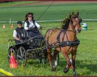1POSIEUX 0172